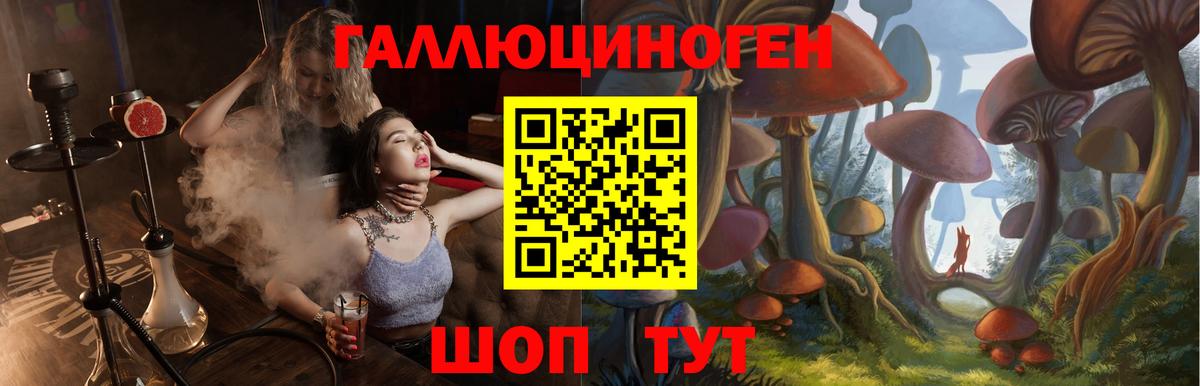 Псилоцибиновые грибы мухоморы  Вход с VPN  Элиста 